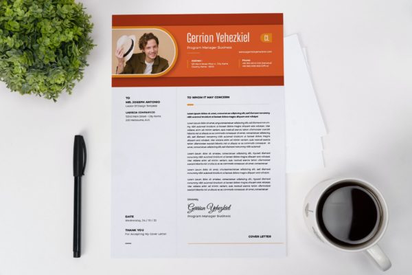 项目经理简历设计模板 Program Manager CV Resume