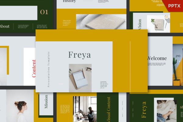大气排版设计PowerPoint演示文稿模板 freya  Powerpoint Template