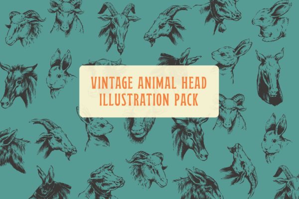 动物头复古矢量插画 Animal Head Vintage Illustration