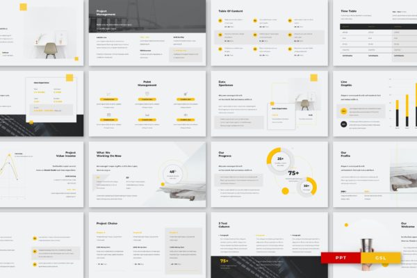 公司简介/年度报告PPT素材 ECRO – COMPANY PROFILE