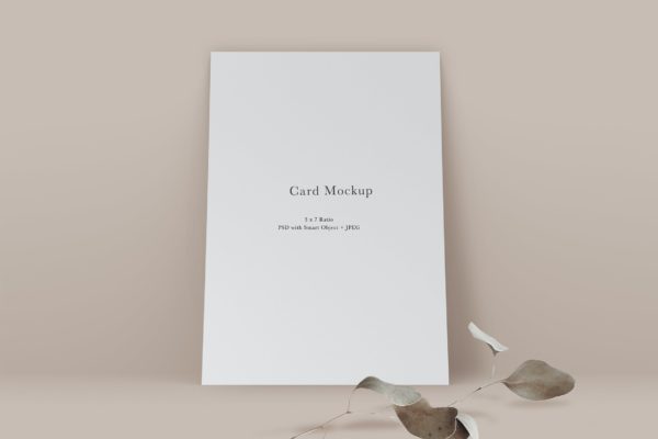 邀请卡&卡片设计样机模板#561 Card Mockup #561