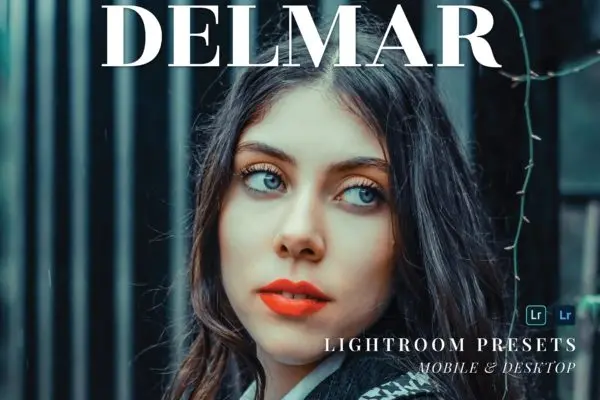 复古怀旧滤镜照片处理Lightroom预设 Delmar Mobile and Desktop Lightroom Presets