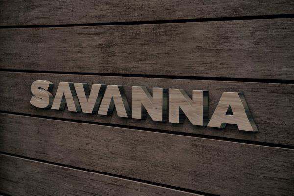 木背景3D标志Logo样机 3D Wood Logo Mockup