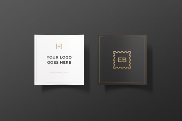 方形卡片品牌Logo样机 Logo Mockup