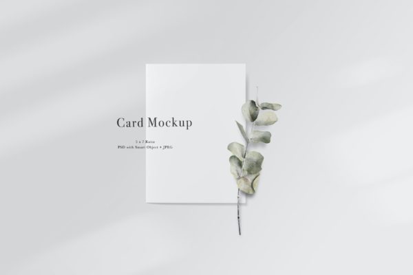 邀请卡&卡片设计样机模板#790 Card Mockup #790