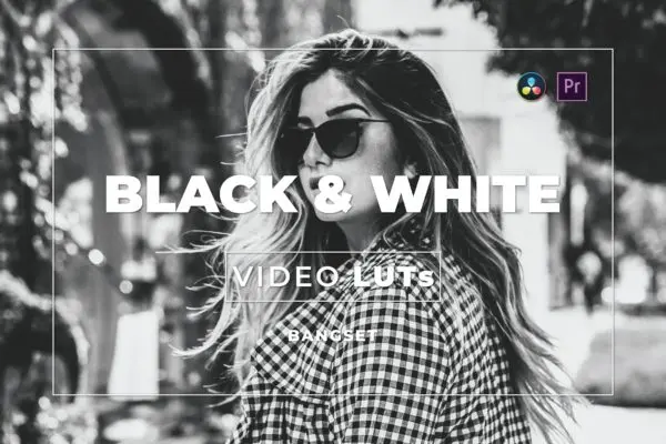 黑白色调照片视频后期调色LUT预设包 Bangset Black & White Video LUTs