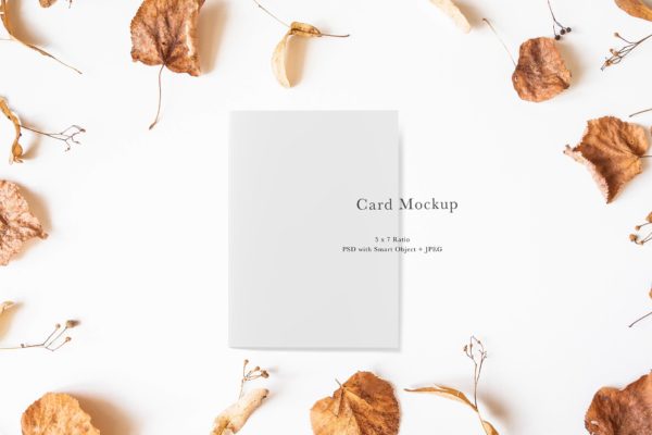 邀请卡&卡片设计样机模板#953 Card Mockup #953