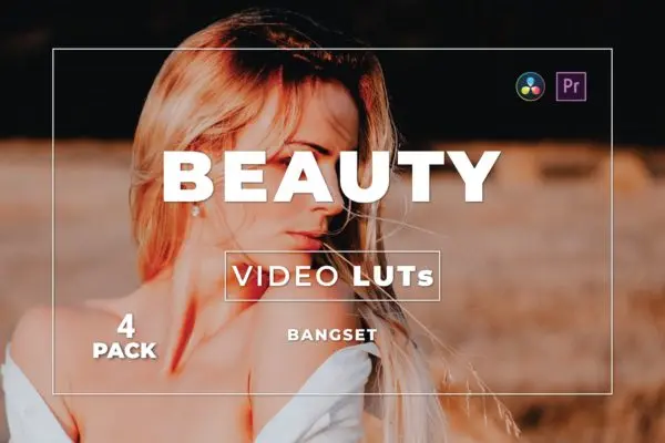 美女模特照片视频后期调色LUT预设包v4 Bangset Beauty Pack 4 Video LUTs