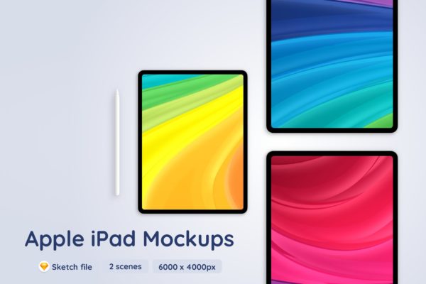 Apple iPads Pro平板电脑样机 Apple iPads Pro – 2 Mockups