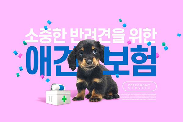 宠物健康护理海报设计韩国素材[psd]