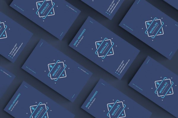 创意品牌VI设计公司名片模板 Business Card