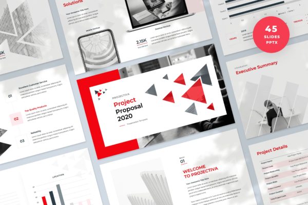 项目建议PowerPoint演示模板 Project Proposal PowerPoint Presentation Template