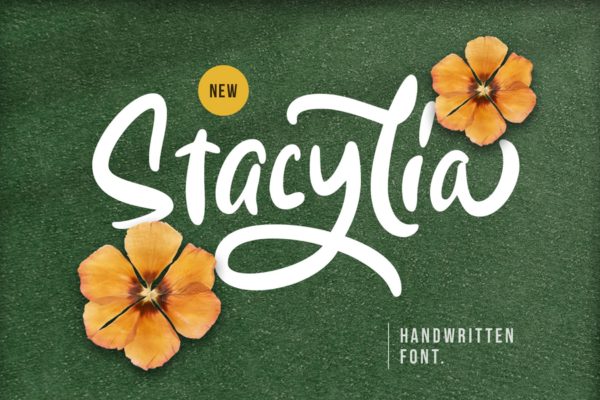 粗体风格的英文手写脚本字体 Stacylia – Handwritten Font