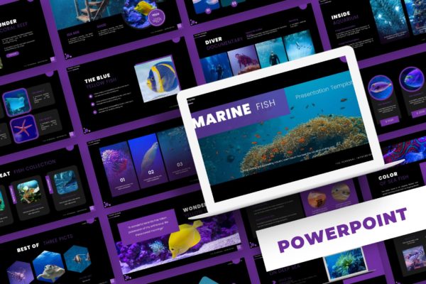 海洋动物介绍PPT演示文稿 Marine Fish – Powerpoint Template