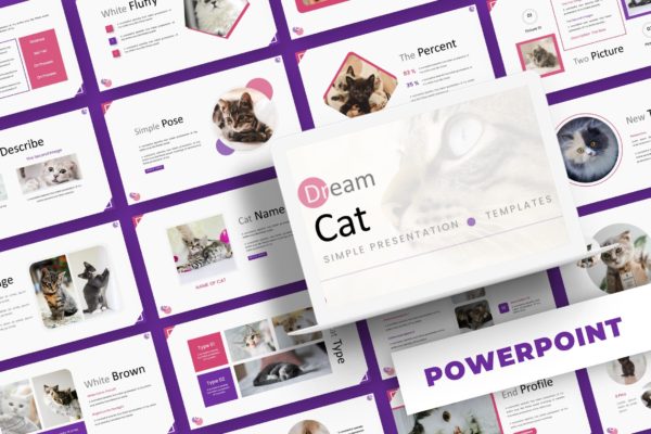 猫科动物介绍PPT素材 Dream Cat – Powerpoint Template