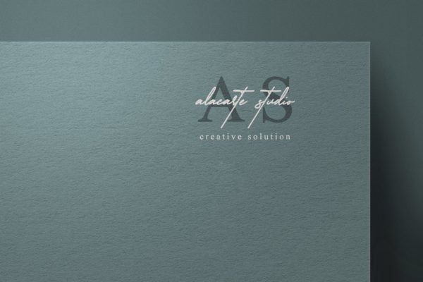 企业品牌视觉展示工艺纸Logo样机模板v4 Logo Mockup