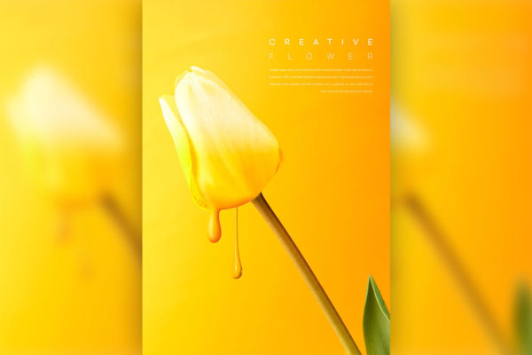 金黄郁金香花卉海报设计韩国素材[psd]