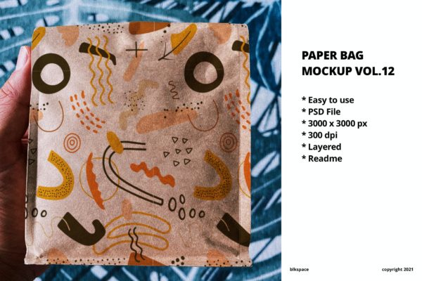 牛皮纸食品外卖袋设计样机v12 Paper Bag Mockup Vol.12