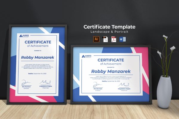 多用途认证/专业证书模板 Multipurpose Professional Certificate Template