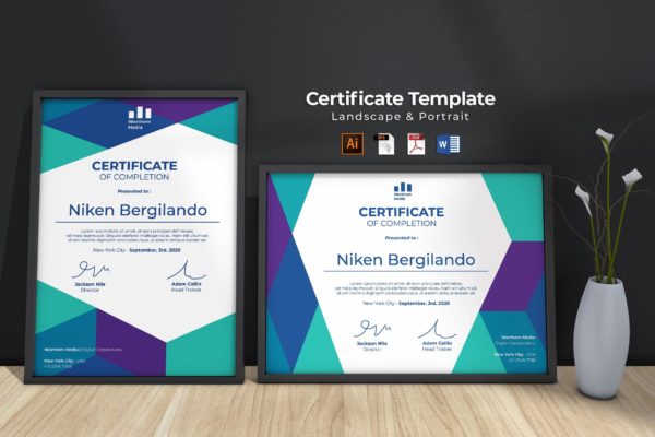 高端现代产品认证专业证书设计模板 Modern Certificate Template