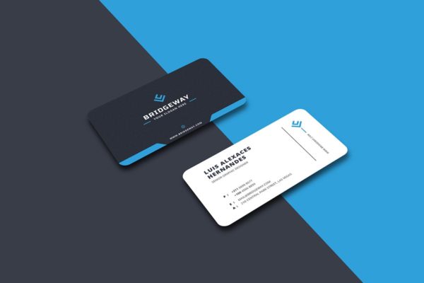 高端大气风格高级平面设计师名片设计模板 Business Card