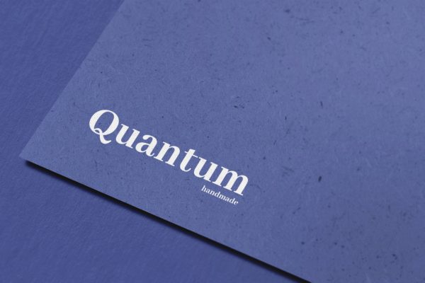 企业品牌视觉展示工艺纸Logo样机模板v9 Logo Mockup