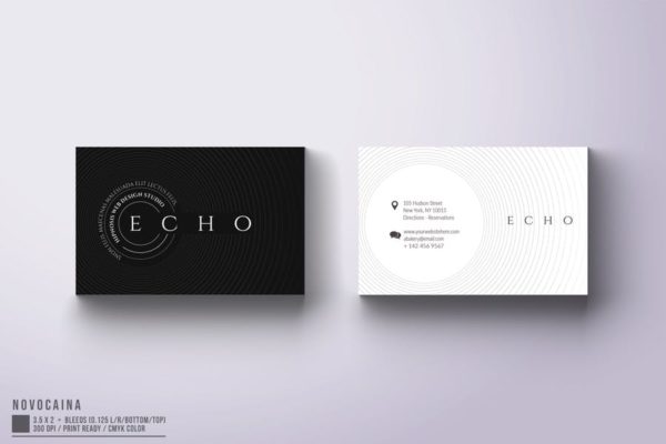 经典黑白配色简约风企业名片模板 Echo Business Card Design