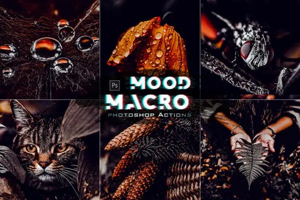 野外森林摄影调色Photoshop动作下载 sheng lin Macro Moody Photoshop Actions