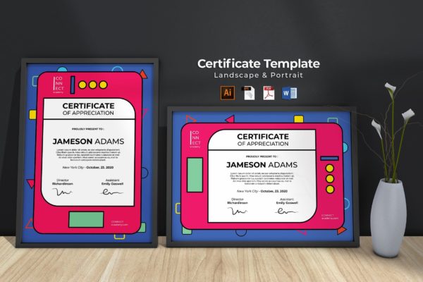 现代产品认证专业授权证书设计模板 Modern Certificate Template