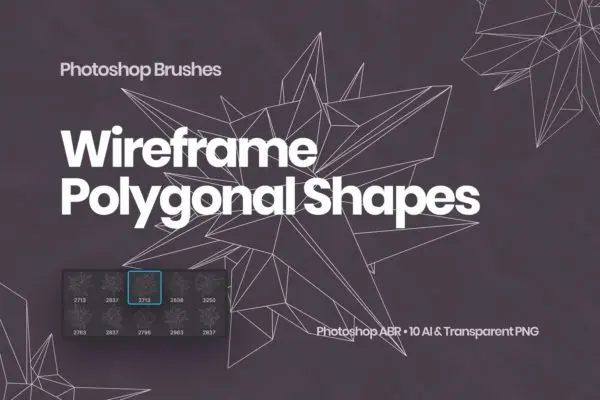 抽象线框多边形形状Photoshop笔刷 Wireframe Polygonal Shapes Photoshop Brushes