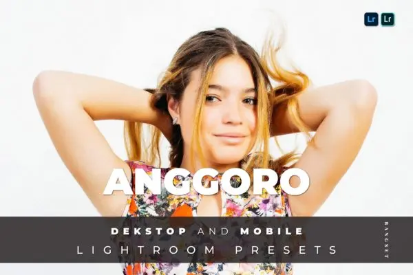 时尚街拍人像摄影Lightroom调色预设 Anggoro Desktop and Mobile Lightroom Preset