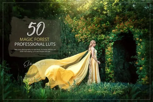 50个魔法森林阳光效果LR预设+LUT预设 50 Magic Forest LUTs and Presets Pack