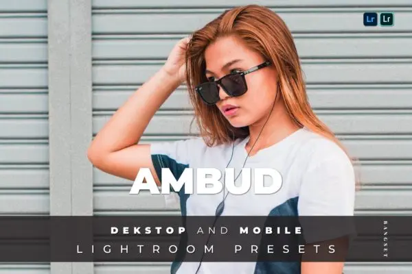 旅行/户外/生活摄影必备Lightroom调色预设 Ambud Desktop and Mobile Lightroom Preset