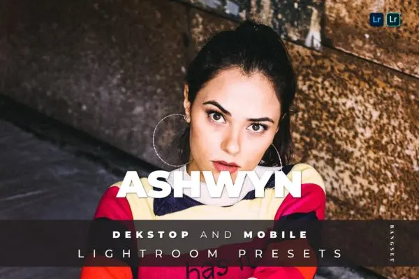 人物肖像专业摄影照片处理LR预设 Ashwyn Desktop and Mobile Lightroom Preset
