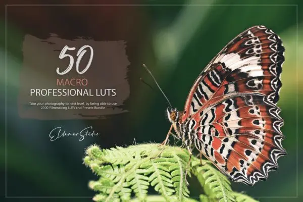 50个近拍特写LR预设+LUT预设 50 Macro LUTs and Presets Pack