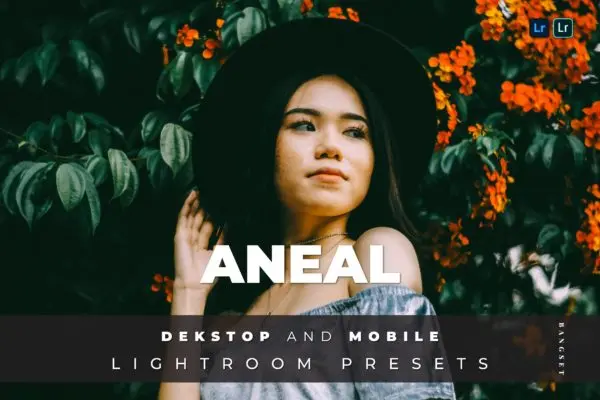 城市/户外旅行生活摄影LR照片调色预设 Aneal Desktop and Mobile Lightroom Preset