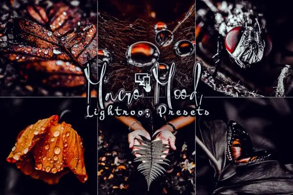 红色暗调昆虫摄影LR后期预设 Macro Mood Lightroom Presets Mobile and PC