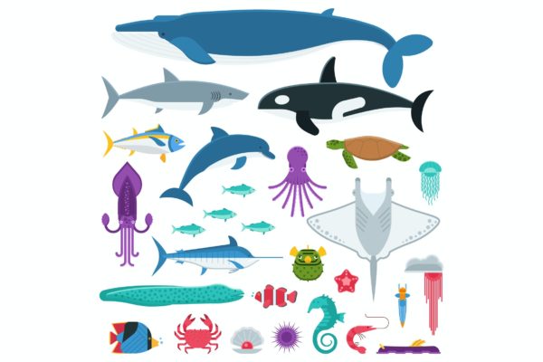 水下动物和海洋生物矢量剪贴画 Underwater Animals and Sea Creatures