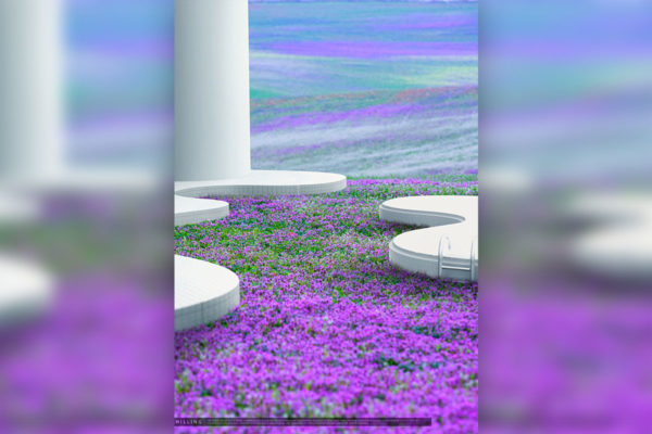 薰衣草泳池风景海报设计韩国素材[psd]