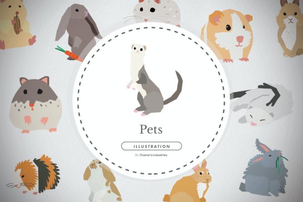 25个小型宠物品种插画套装 25 Small Pet Breeds Illustration Pack