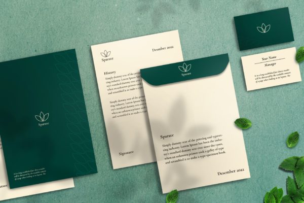 企业品牌VI样机素材 Branding Identity Mockup