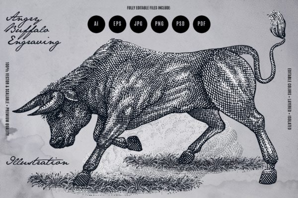 愤怒的水牛复古雕刻插画 Angry Buffalo Engraving Illustration