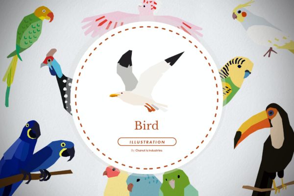 10只宠物鸟品种插画套装 10 Pet Bird Breeds Illustration Pack