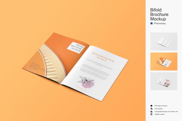 杂志宣传册内页设计样机素材 Brochure Mockup