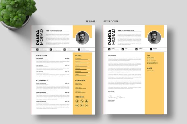 应聘简历设计模板 Resume Template Word