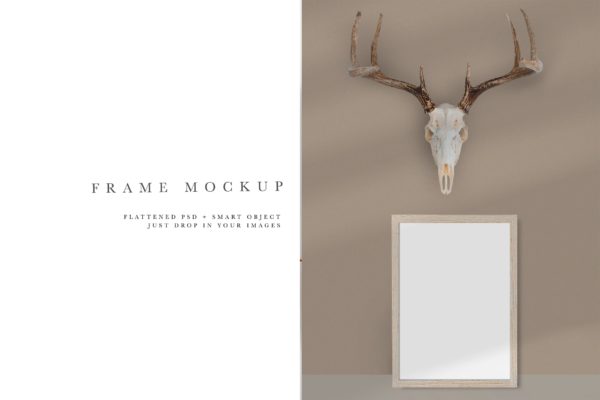 室内背景照片作品展示相框画框样机模板#1168 Frame Mockup #1168, Interior Mockup