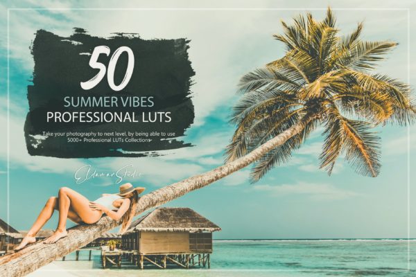 50个夏季摄影色调LUT预设素材 50 Summer Vibes LUTs Pack