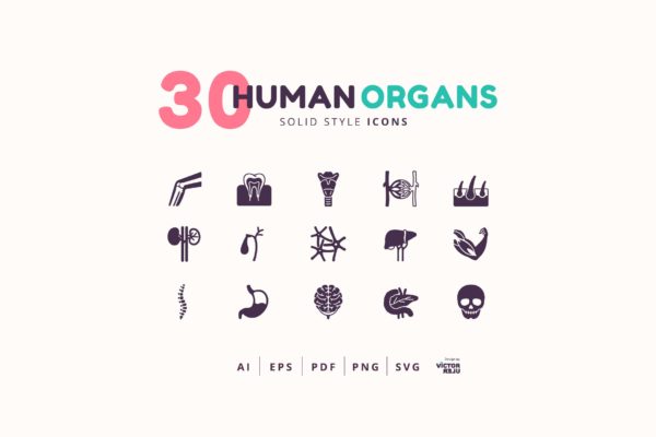 30枚实体风格人体器官图标素材 30 Icons Human Organs Solid Style