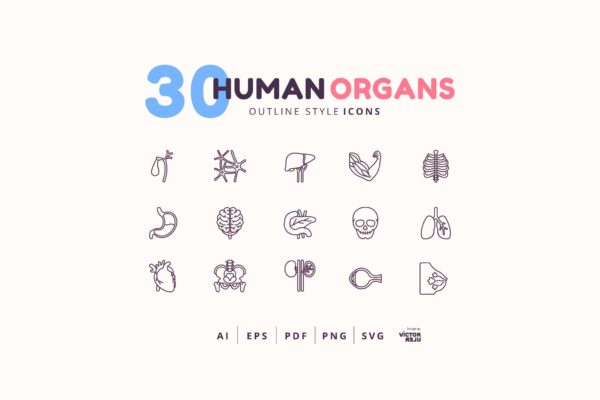 30枚轮廓风格人体器官图标素材 30 Icons Human Organs Outline Style