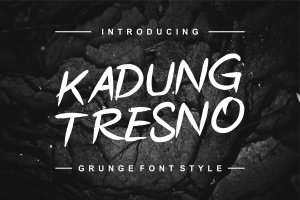 Grunge风格装饰性字体素材 Kadung Tresno Grunge Font Style